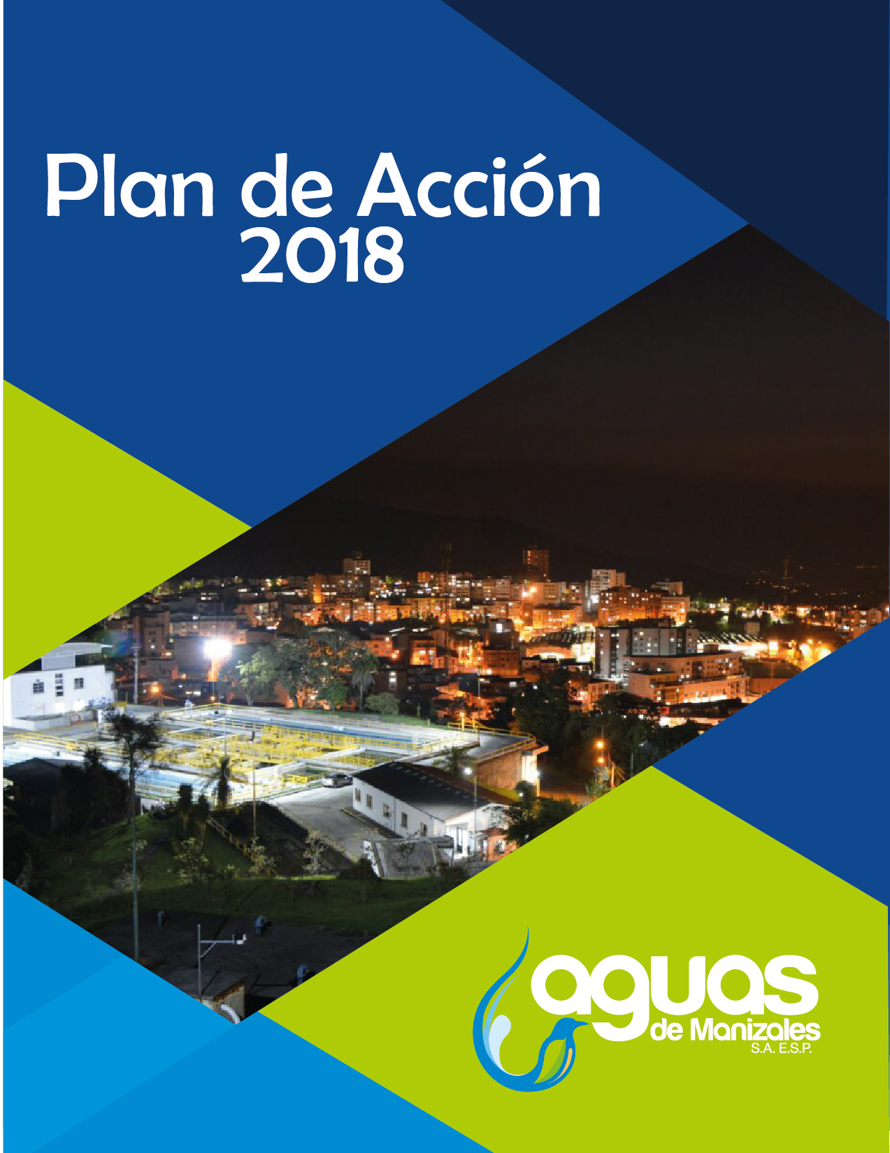 Plan de Acción 2017